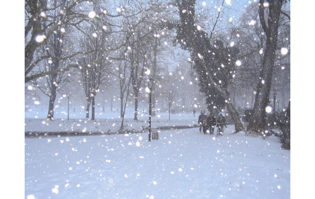 NEIGE - Annulation des cours du 7 janvier 2026