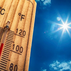 CANICULE - Annulation des cours